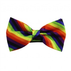 Gay Pride Rainbow Striped Bow Tie